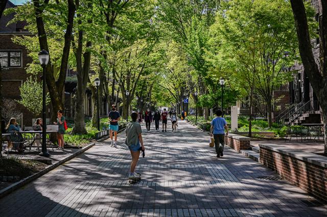 photo of students and green trees on woodland walk at Penn