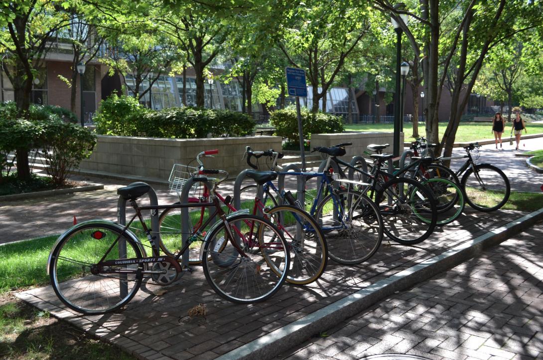 Lauder Institute bike rack