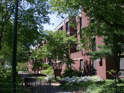 Du Bois College House as seen through the trees